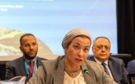 وزيرة البيئة تبدأ المشاورات غير الرسمية حول الهدف الجمعي الكمي الجديد لتمويل المناخ