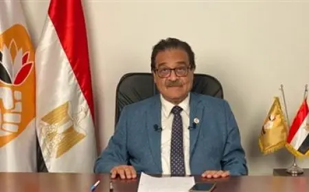 فريد زهران رئيسا للتحالف الديمقراطي بالعالم العربي