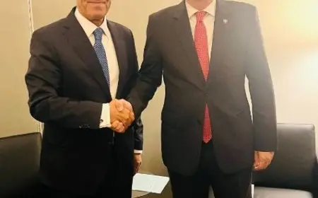 وزير الخارجية: مصر حريصة على استمرار التعاون مع ألبانيا في مجال بناء القدرات