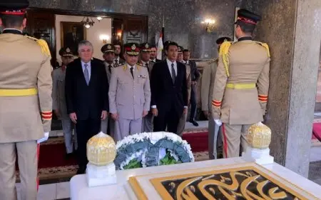 السيسى ينيب وزير الدفاع للمشاركة في إحياء الذكرى السنوية لرحيل جمال عبدالناصر