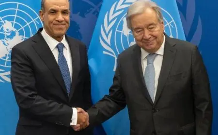 وزير الخارجية: الأمن المائي يتعلق بشكل مباشر بالأمن القومي المصري