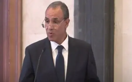 وزير الخارجية: وحشية إسرائيل في العدوان على غزة لها مخاطر على المنطقة