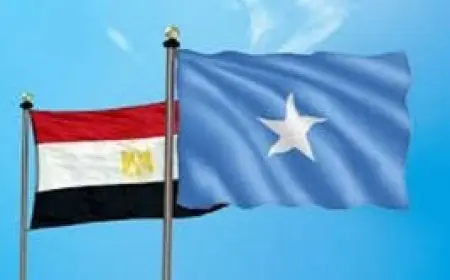 وزير الخارجية: مصر تدين أي إجراءات أحادية تمس وحدة الصومال وسيادته