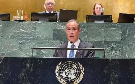 عبد العاطي: استمرار العدوان الإسرائيلي على غزة وصمة عار على جبين المجتمع الدولي