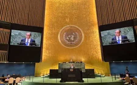 وزير الخارجية: مصر لن تتسامح مع التهديدات الوجودية من سد النهضة