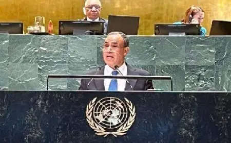 وزير الخارجية يستعرض أمام الأمم المتحدة ملامح المقاربة المصرية لحل أزمات المنطقة