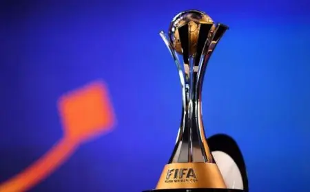 «فيفا» يعلن عن 12 ملعبًا لاستضافة مباريات مونديال الأندية 2025 بأمريكا