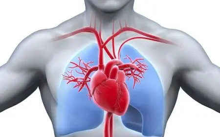 معهد القلب ينجح في إجراء تدخل جراحي دقيق يمنع توقف القلب المفاجئ