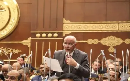 النائب حازم الجندي: مصر تواصل جهودها لإرساء السلام واستعادة الاستقرار في لبنان وغزة