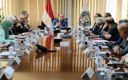 وزير المالية: إجراءات ميسرة لإنهاء المنازعات الضريبية المتراكمة