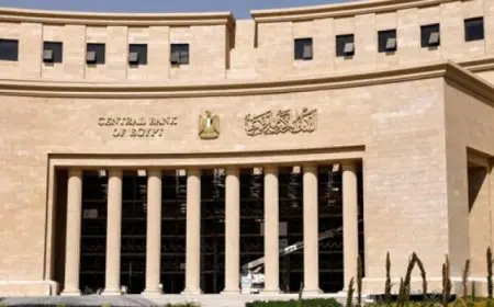 البنك المركزي: مصر تلقت استثمارات عربية مباشرة بقيمة 18.5 مليار دولار خلال 9 أشهر.
