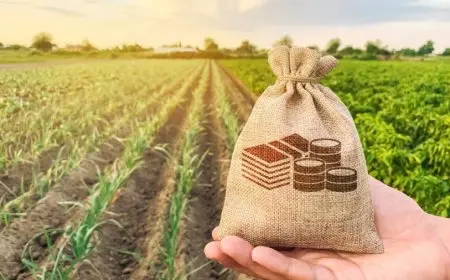 مدبولي يتابع مستجدات الموقف التنفيذي لمشروعات المبادرة الرئاسية حياة كريمة