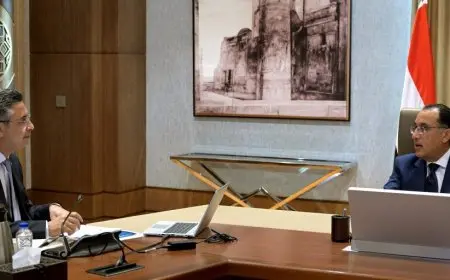 مدبولي يشدد على ضرورة مواصلة ضخ السلع في الأسواق بأسعار مناسبة