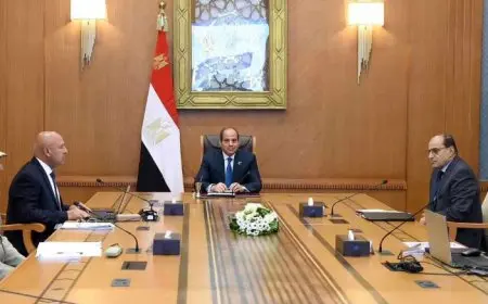 السيسي يطلع على الموقف التنفيذي لعدد من الملفات ذات الصلة بالتنمية الصناعية والعمرانية