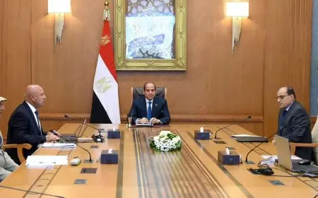 الرئيس السيسي يطلع على الموقف التنفيذي لملفات التنمية الصناعية والعمرانية