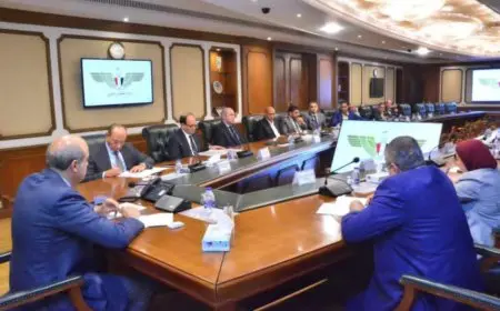 وزير الطيران يلتقي بعدد من مسئولى شركات البالون الطائر لمناقشة دعم نشاطهم