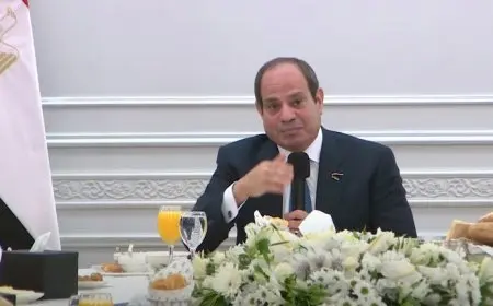 السيسي عن سد النهضة: نحاول استخدام أدواتنا السياسية والدبلوماسية لمنع الشر المحتمل