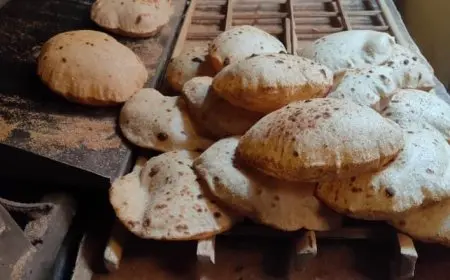 عضو تنسيقية الأحزاب: تطوير منظومة الدعم بدأ منذ 2016