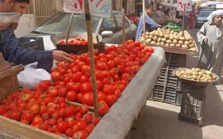 الشعبة تكشف أسباب ارتفاع أسعار الخضروات وموعد انخفاضها