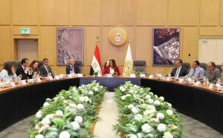 كيف تستعد مصر لاستضافة المنتدى الحضري العالمي؟