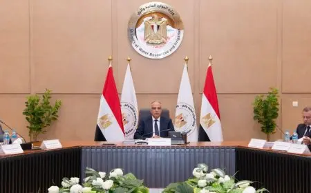 وزير الري: سداد 112 مليون جنيه من مديونية الشركة القابضة الري والصرف