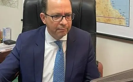 مصر تتولى رئاسة مجلس السلم والأمن الأفريقي خلال شهر أكتوبر 2024