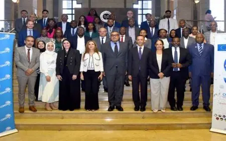 هيئة الاستثمار تبحث التعديلات المقترحة على اتفاقية منطقة الاستثمار للسوق المشتركة لدول “الكوميسا”