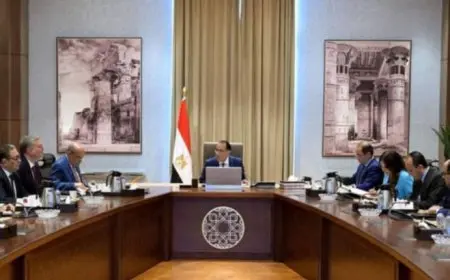 محمود عصمت: تحصيل 1.2 مليار جنيه مستحقات في شهر ونصف نتيجة للتعامل مع ملف سرقات الكهرباء