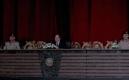 الرئيس السيسي: مجال الرقمنة يوفر مليون فرصة عمل جديدة ويتيح العمل من المنزل