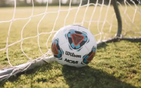 مشجع كرة قدم يكسب 40 ألف يورو في تحد طريف وصعب