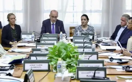 بدء ورشة عمل حول نزع السلاح والتسريح وإعادة الإدماج بالجامعة العربية