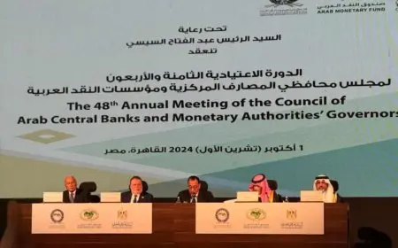 أبو الغيط: العالم يمر بمرحلة دقيقة من التحولات الاقتصادية