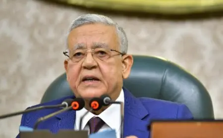 رئيس النواب: مصر لن تتهاون مع أي مساس بحقوقها أو أمنها المائي
