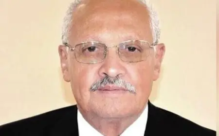 مجلس أمناء جامعة مصر للمعلوماتية يعين الدكتور أحمد حمد نائبا للرئيس