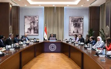 استثمارات تتخطى 116 مليون يورو.. تفاصيل خطة توطين تصنيع السيارات في مصر