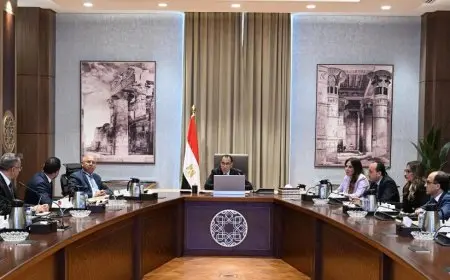 مدبولي يستعرض خطط التوسع في تصنيع السيارات في مصر