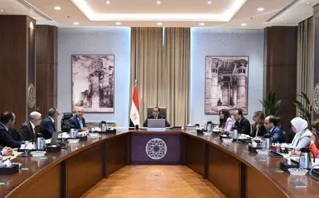 رئيس الوزراء يلتقي مسئولي الشركة المصرية العالمية للسيارات لمتابعة توطين صناعة السيارات بمصر