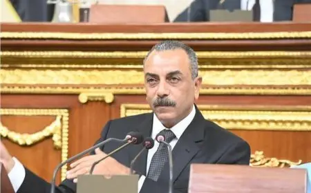 النائب إيهاب الطماوي: الرئيس السيسي يدير ملفات الأمن القومي بحكمة بالغة تراعي مستقبل المصريين