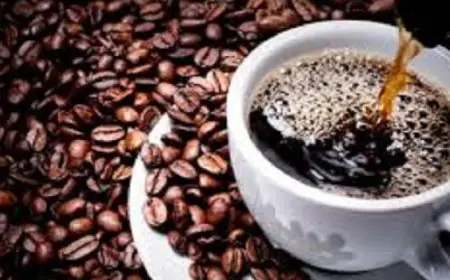 أغلى أنواع حبوب القهوة يصل لـ2500 دولار للكيلو