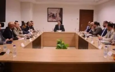 نائب وزير الصحة يجتمع لمتابعة حوكمة وتطوير منظومة الرعايات والحضانات