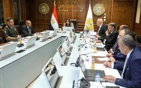 وزيرة التنمية المحلية تتابع مع سكرتيري المحافظات معدلات الإنجاز في ملف التصالح على مخالفات البناء