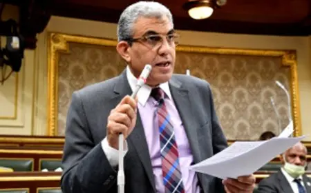 عادل عبد الفضيل رئيسا للجنة القوى العاملة بمجلس النواب.. وألفت المنزلاوي بأمانة السر