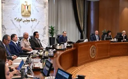 الحكومة توافق على تحديد 2200 جنيه سعراً استرشادياً لأردب القمح في موسم 2024/2025