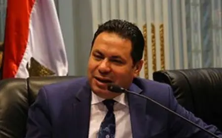 النائب هشام الحصري رئيسا للجنة الزراعة بمجلس النواب للمرة السادسة على التوالي