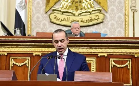 وزير المجالس النيابية يهنئ النواب الفائزين في انتخابات اللجان