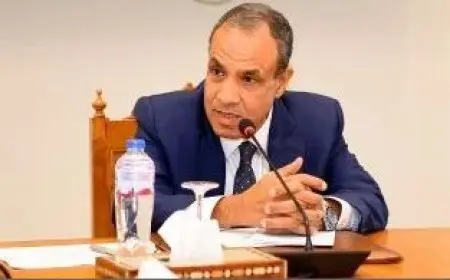 بدر عبدالعاطي: مسألة الانكفاء أو الخمول الاستراتيجي أمر غير مطروح على الإطلاق