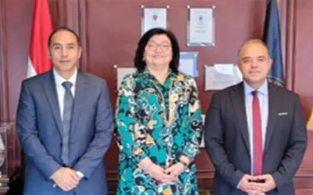 لميس نجم الخبيرة المصرفية مستشاراً لرئيس الهيئة العامة للرقابة المالية