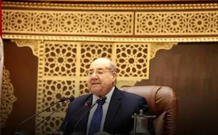 مجلس الشيوخ يجري انتخابات اللجان النوعية