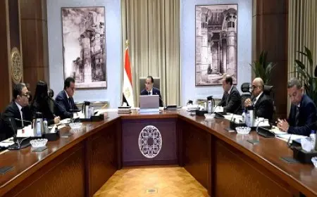 رئيس الوزراء: مهلة شهرين للمستفيدين من استيراد سيارات ذوي الهمم لتسوية أوضاعهم وسداد مستحقات الدولة