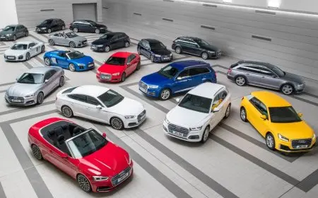 إتجار بالبشر وتهرب ضريبى.. الحكومة تحذر غير المستحقين لسيارات ذوي الهمم من عدم التسوية